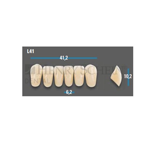 Vitapan Plus Anterior Shade A1 Lower Mould L41 Set 6