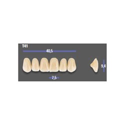 MFT 2M2 T41 Anterior x6