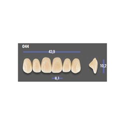 MFT 3L15 O44 Anterior x6