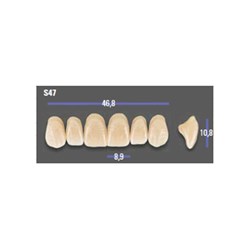 MFT 3R25 S47 Anterior x6