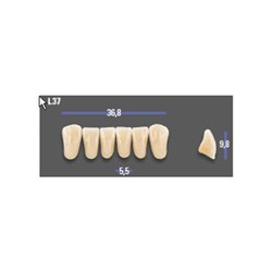 MFT 4L15 L37 Anterior x6