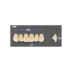 MFT 4L15 O40 Anterior x6