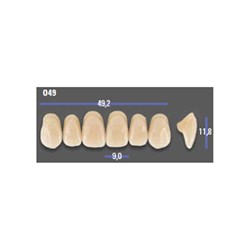 MFT 5M1 O49 Anterior x6