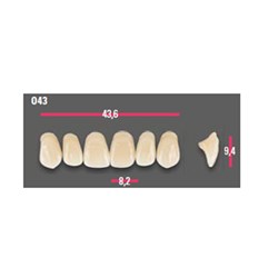 Vitapan Anterior Shade A1 Upper Mould O43 Set 6