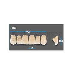 Vitapan Plus Upper Anterior Shade A2 Mould S46 Classical