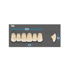 VITAPAN Plus Upper Anterior Shade A2 Mould T42 Classical