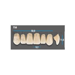 Vitapan Plus Upper Anterior Shade A2 Mould T50 Classical