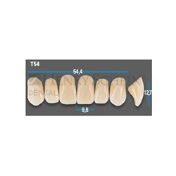 Vitapan Plus Upper Anterior Shade A2 Mould T54 Classical