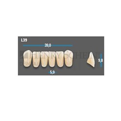 Vitapan Plus Anterior Shade A3 Lower Mould L39 Set 6