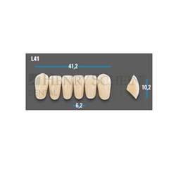 Vitapan Plus Anterior Shade A3 Lower Mould L41 Set 6