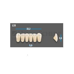 Vitapan Plus Anterior Shade A4 Lower Mould L33 Set 6