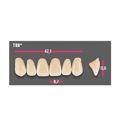 Vitapan Anterior Shade B3 Upper Mould T88 Set 6