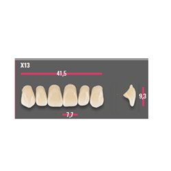 Vitapan Anterior Shade B3 Upper Mould X13 Set 6