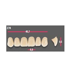 Vitapan Anterior Shade B3 Upper Mould Z74 Set 6