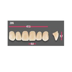 Vitapan Anterior Shade B3 Upper Mould Z85 Set 6