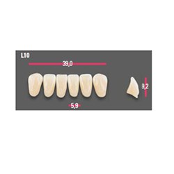 Vitapan Anterior Shade B4 Lower Mould L10 Set 6