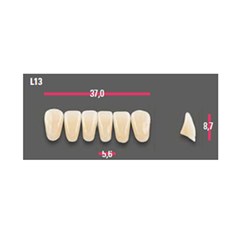 Vitapan Anterior Shade B4 Lower Mould L13 Set 6