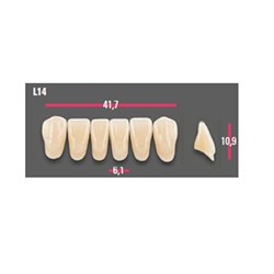 Vitapan Anterior Shade B4 Lower Mould L14 Set 6
