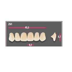Vitapan Anterior Shade B4 Upper Mould Z61 Set 6