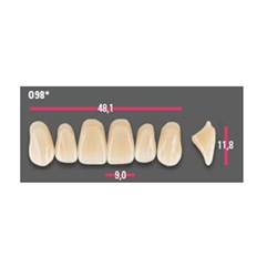 Vitapan Anterior Shade C1 Upper Mould O98 Set 6