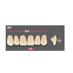 Vitapan Anterior Shade C1 Upper Mould X87 Set 6