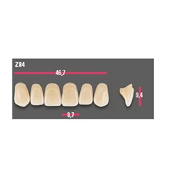 Vitapan Anterior Shade C1 Upper Mould Z84 Set 6