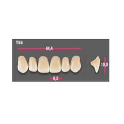 Vitapan Anterior Shade C2 Upper Mould T56 Set 6