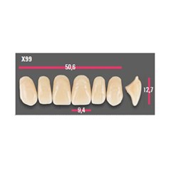 Vitapan Anterior Shade C2 Upper Mould X99 Set 6