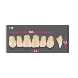 Vitapan Anterior Shade D2 Upper Mould T98 Set 6