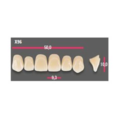 Vitapan Anterior Shade D3 Upper Mould X96 Set 6