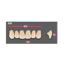 Vitapan Anterior Shade D4 Upper Mould O34 Set 6