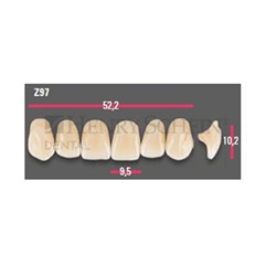 Vitapan Anterior Shade D4 Upper Mould Z97 Set 6