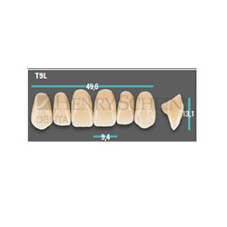 Physiodens Anterior Shade A1 Upper Mould T9L Set 6