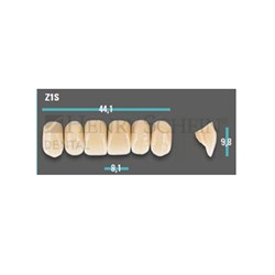 Physiodens Anterior Shade A1 Upper Mould Z1S Set 6