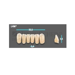 Physiodens Anterior Shade A2 Lower Mould L4M Set 6