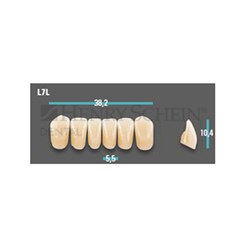 Physiodens Anterior Shade A2 Lower Mould L7L Set 6