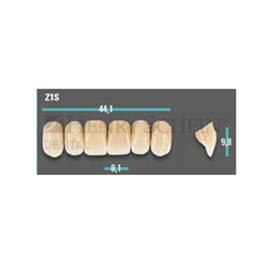 Physiodens Anterior Shade A2 Upper Mould Z1S Set 6