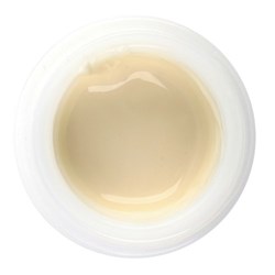 Initial IQ Lustre Paste ONE Enamel Effect Shade L-1 4g