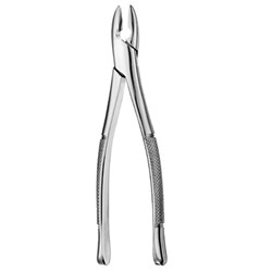 Standard Forceps #1