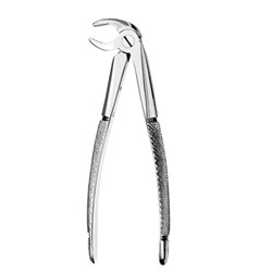 Lower Premolar Forceps #FX13