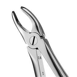 Upper Premolar Forceps #FX7