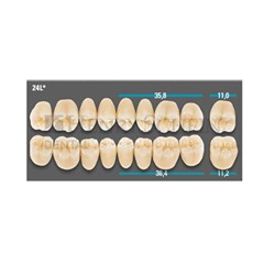VITA Lingoform Lower Posterior Shade A35 Mould 24L Classical