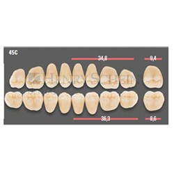 VITAPAN CUSPIFORM POST /8U