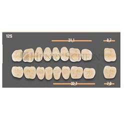 VITAPAN SYNOFORM POSTERIOR /8