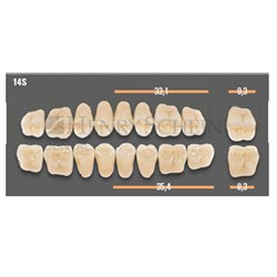 VITAPAN POSTERIOR SYNOFORM /8