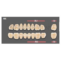 VITAPAN CUSPIFORM POST /8U