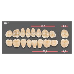 VITAPAN CUSPIFORM POST /8L