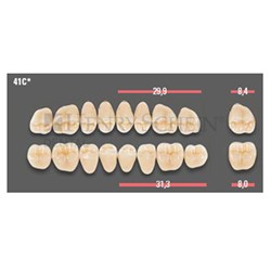 VITAPAN CUSPIFORM POST /8U