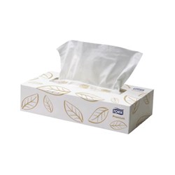 Tork Extra Soft Facial Tissue 2 Ply Box 100 Each