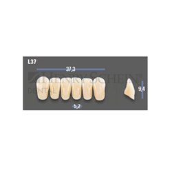 VITAPAN EXCELL Classical Lower Anterior Shade A1 Mould L37